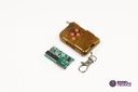 Control IC 2262/2272 4 canales 315 MHz